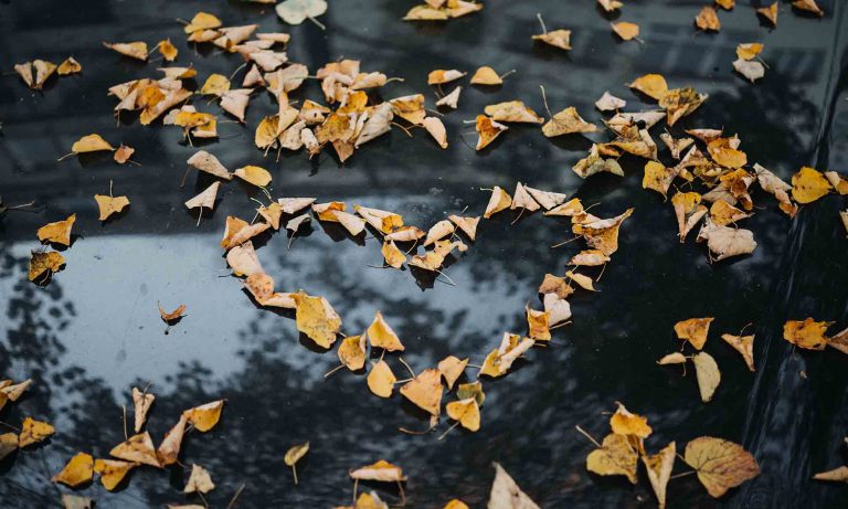 What is Love? Part 2: Dimensions of God’s Love