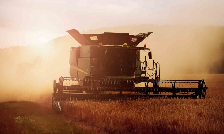 Principle of Seed Times And Harvest