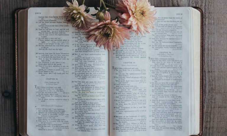 Walking with the Holy Spirit (Part Three): The Role of the Holy Spirit in the Life of the Believer