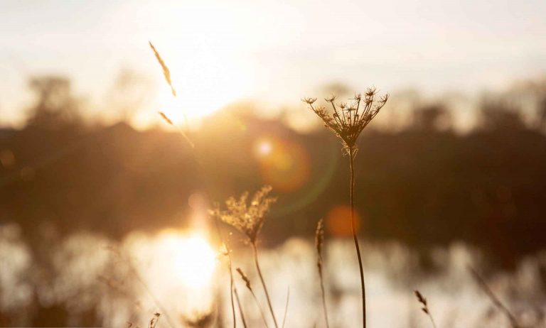 Not in the Wind: How Simplicity and Silence Reveal God’s Voice