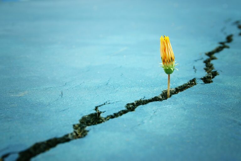 How God Uses Broken Seasons to Build an Unshakable Faith