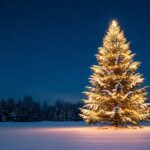An,Illuminated,Christmas,Tree,Stands,In,A,Snowy,Field,At