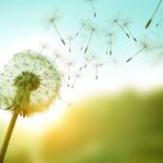 The Freedom That Comes After Obedience freedom