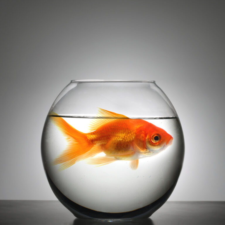 The Danger of Staying Where You’ve Outgrown