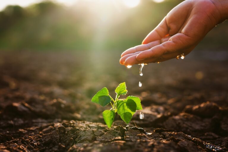 Seed, Time, and Harvest: Understanding God’s Financial Principles